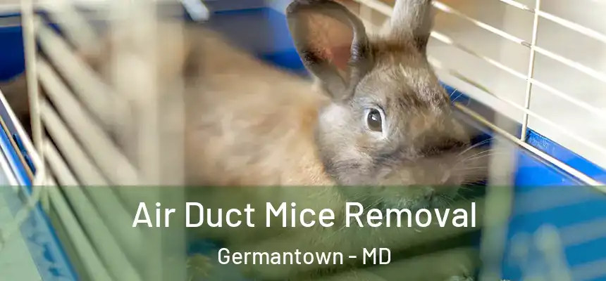 Air Duct Mice Removal Germantown - MD