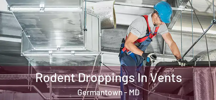 Rodent Droppings In Vents Germantown - MD