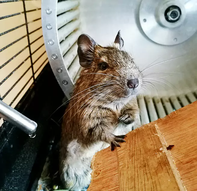 Why Homeowners & Businesses Trust Us Germantown, MD