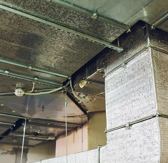 Why Homeowners & Businesses Trust Us in Germantown, MD?